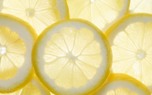 Several lemon slices, backlit